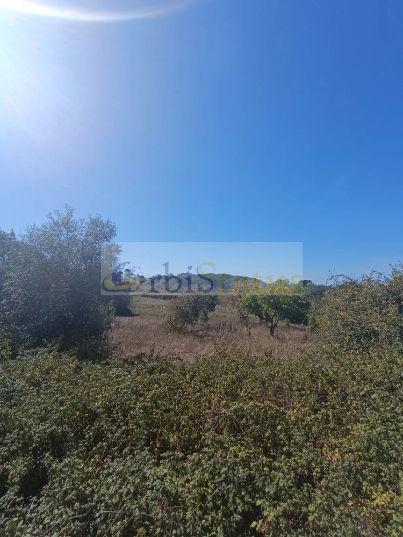 Terreno para Venda em Sesimbra (Castelo) Foto 3