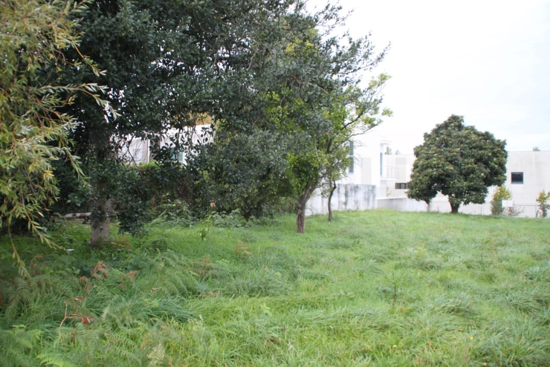 Terreno para Venda em Beduído e Veiros Foto 12