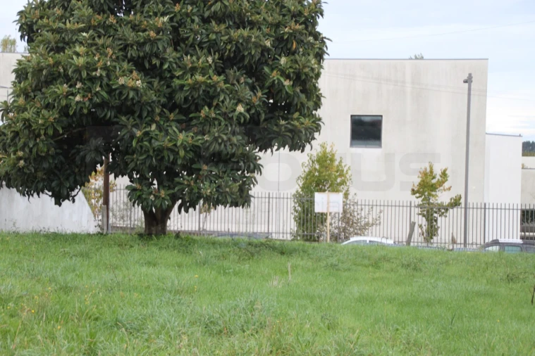 Terreno para Venda em Beduído e Veiros Foto 4