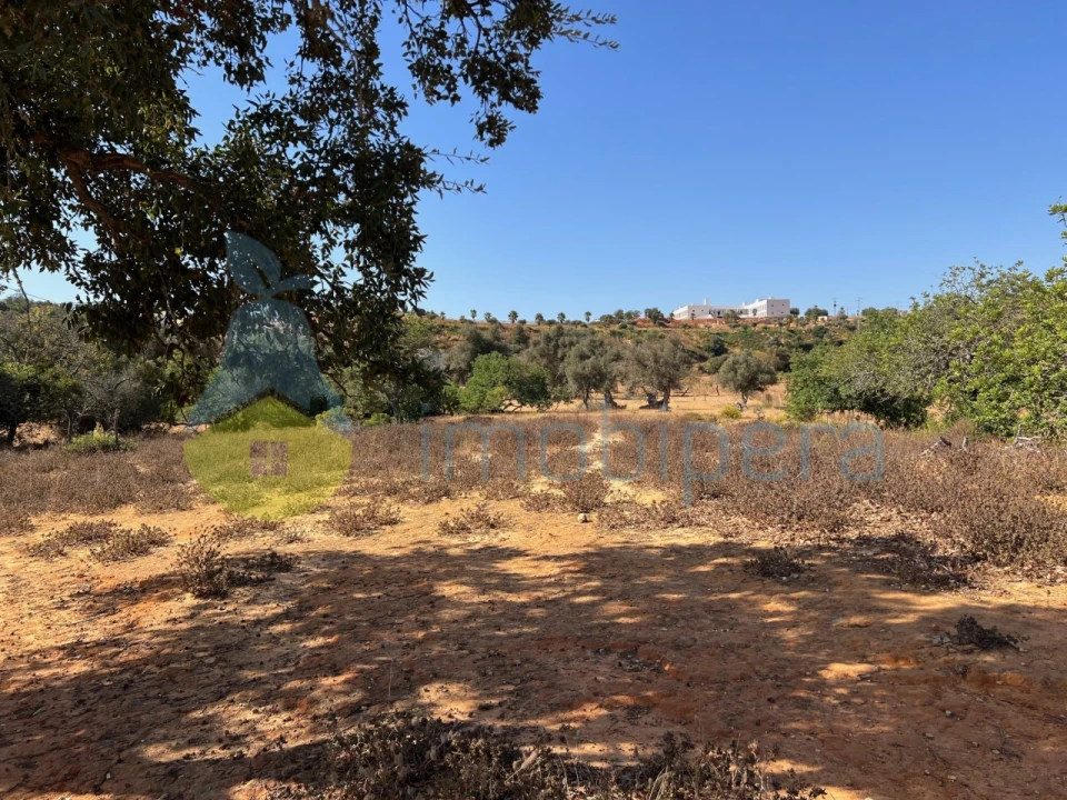 Terreno Agricola ou Rústico para Venda em Guia Foto 3