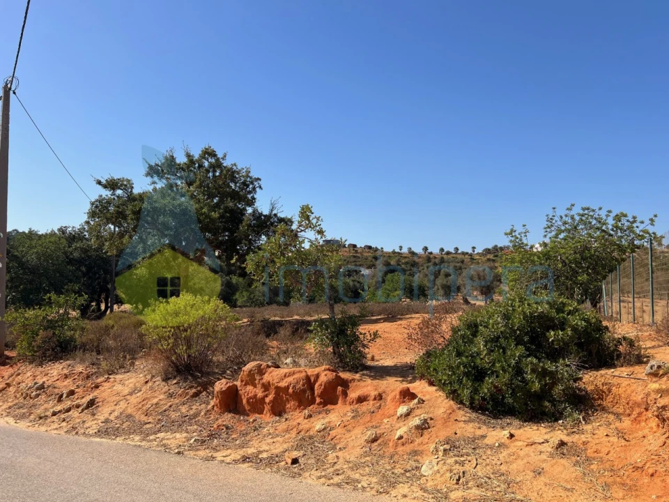 Terreno Agricola ou Rústico para Venda em Guia Foto 4
