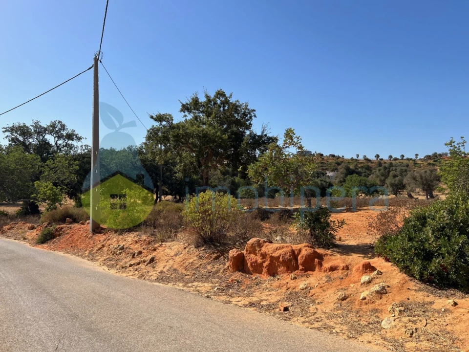 Terreno Agricola ou Rústico para Venda em Guia Foto 6