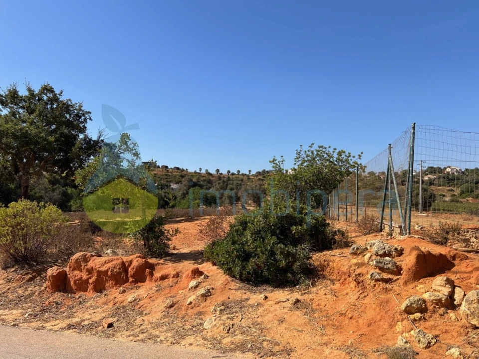 Terreno Agricola ou Rústico para Venda em Guia Foto 8