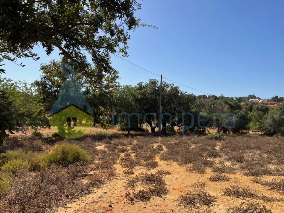 Terreno Agricola ou Rústico para Venda em Guia Foto 9
