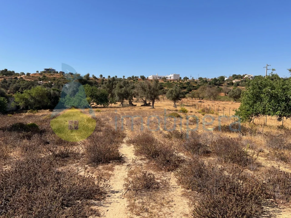 Terreno Agricola ou Rústico para Venda em Guia Foto 10