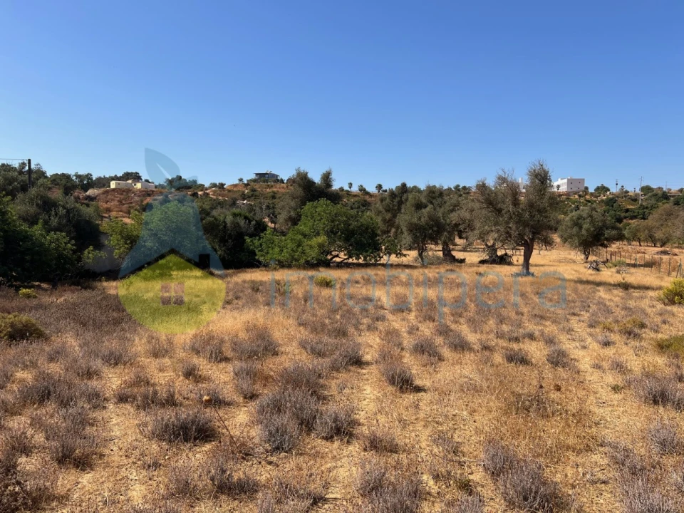 Terreno Agricola ou Rústico para Venda em Guia Foto 12
