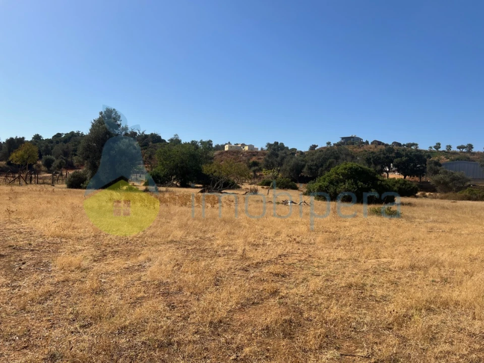 Terreno Agricola ou Rústico para Venda em Guia Foto 15