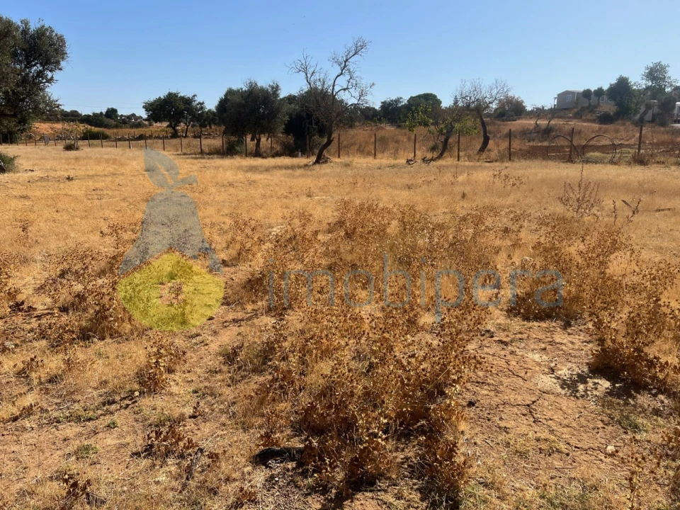 Terreno Agricola ou Rústico para Venda em Guia Foto 16