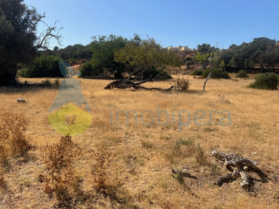 Terreno Agricola ou Rústico para Venda em Guia Foto 17
