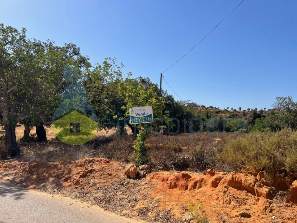 Terreno Agricola ou Rústico para Venda em Guia Foto 23