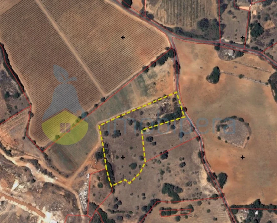 Terreno Agricola ou Rústico para Venda em Guia Foto 22