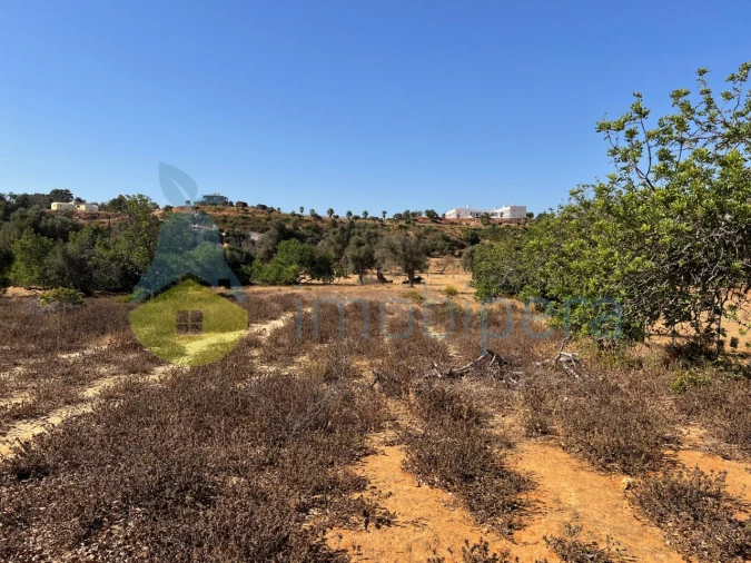 Terreno Agricola ou Rústico para Venda em Guia Foto 7