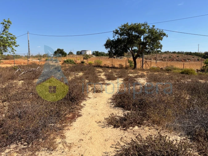 Terreno Agricola ou Rústico para Venda em Guia Foto 14