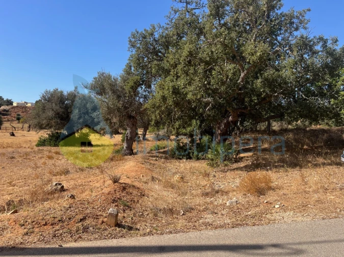 Terreno Agricola ou Rústico para Venda em Guia Foto 18