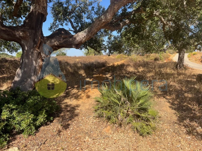 Terreno Agricola ou Rústico para Venda em Guia Foto 22