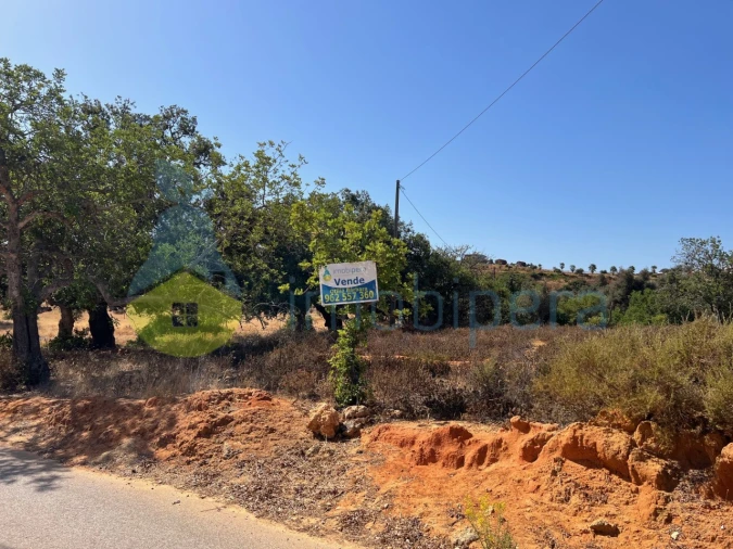 Terreno Agricola ou Rústico para Venda em Guia Foto 23