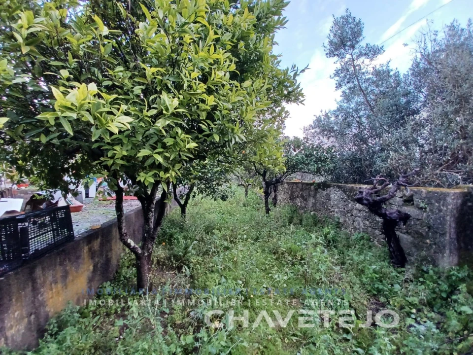 Moradia T3 para Venda em Assentiz Foto 27