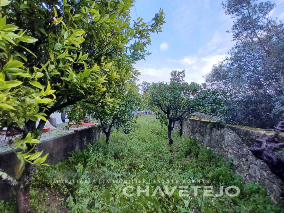 Moradia T3 para Venda em Assentiz Foto 28