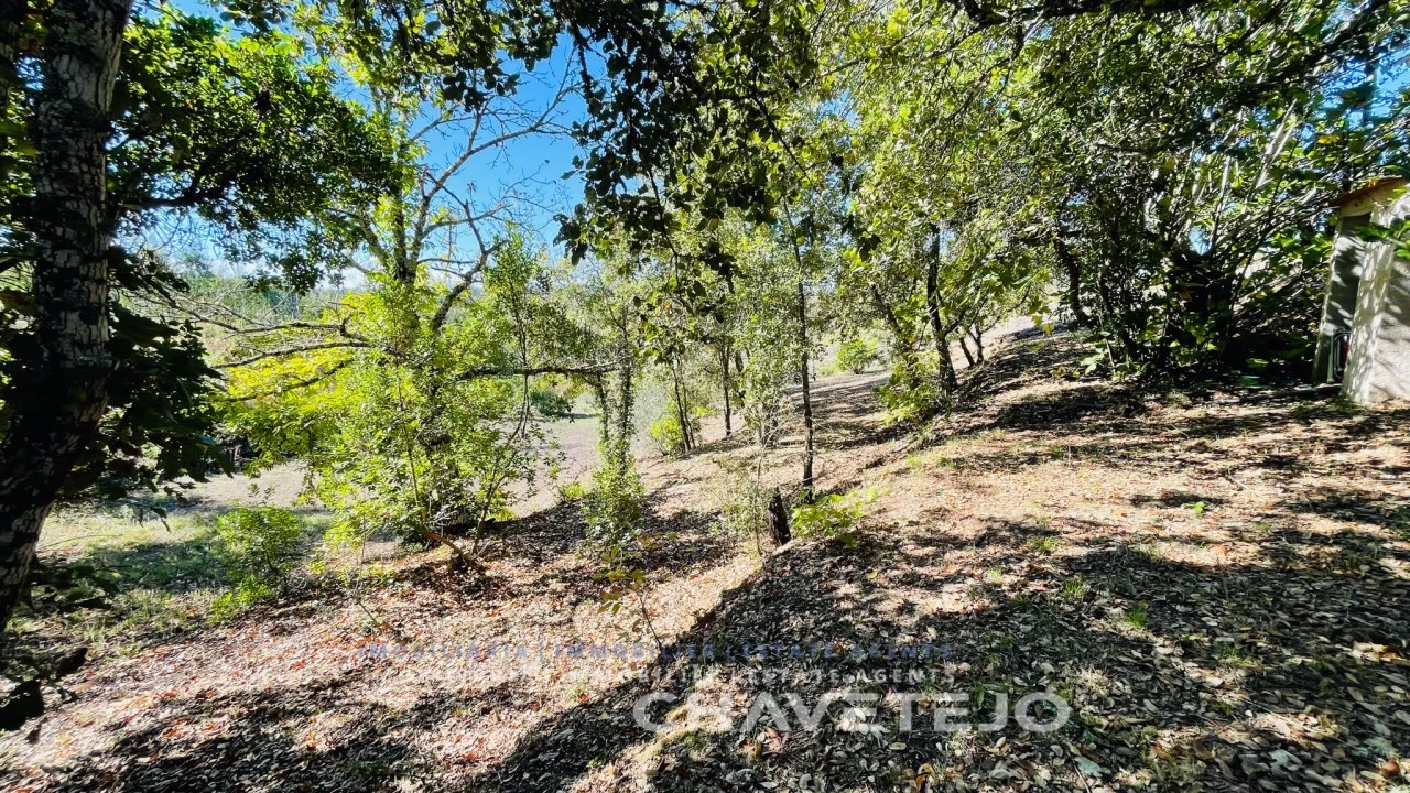 Moradia T3 para Venda em Pousaflores Foto 52