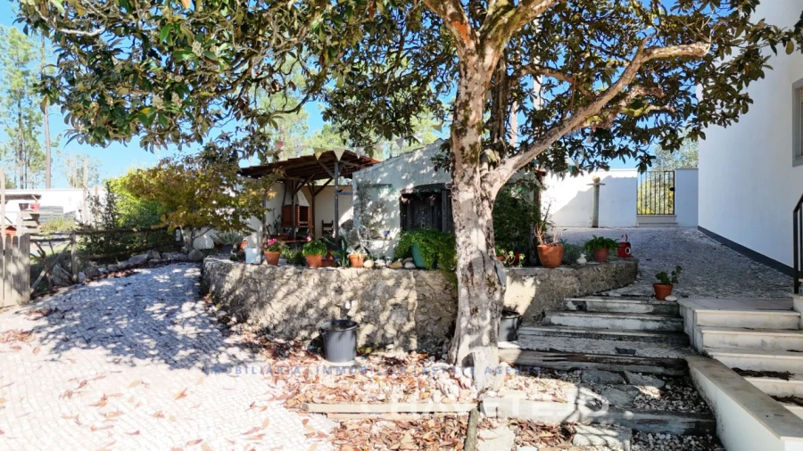 Moradia T3 para Venda em Pousaflores Foto 38