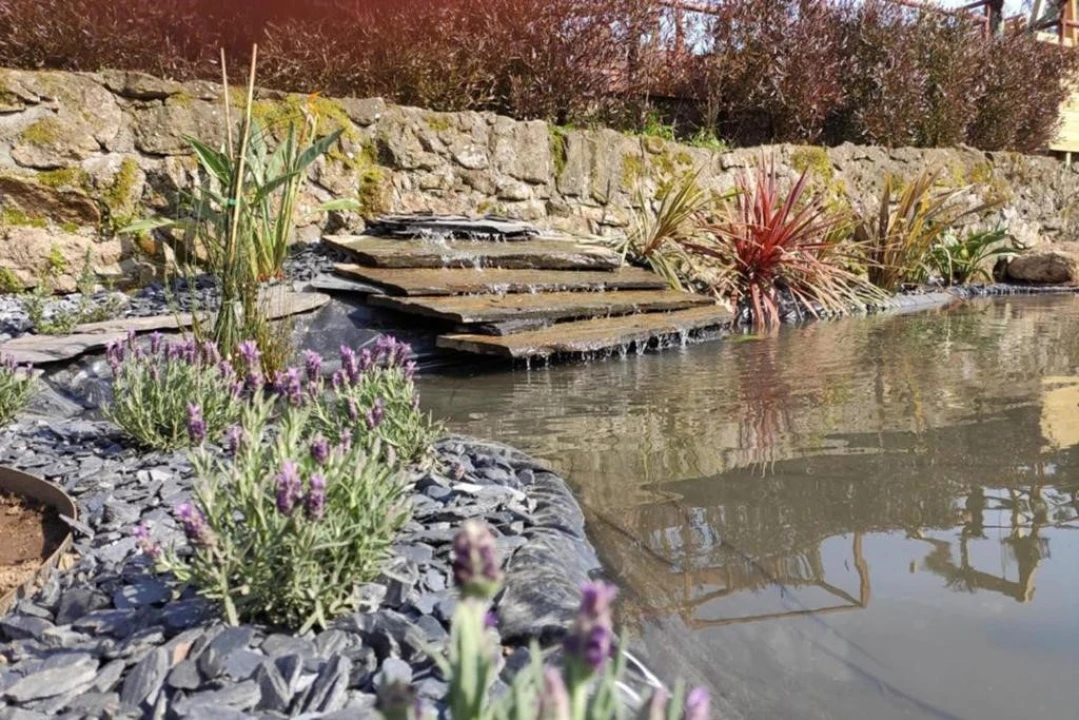 Moradia T3 para Venda em Panque Foto 23