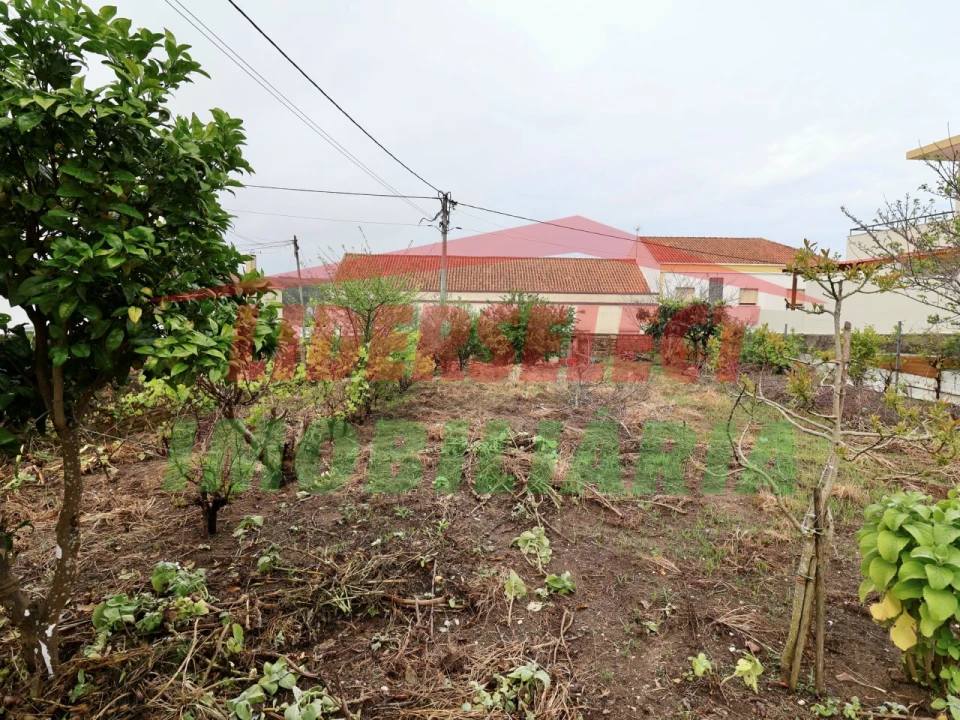 Moradia T3 para Venda em São Pedro da Cadeira Foto 42