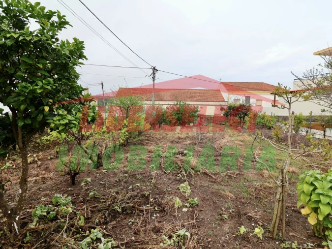 Moradia T3 para Venda em São Pedro da Cadeira Foto 42