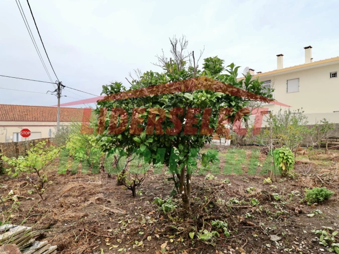 Moradia T3 para Venda em São Pedro da Cadeira Foto 44