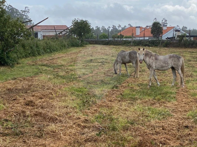Quinta T5 para Venda em Grijó e Sermonde Foto 35