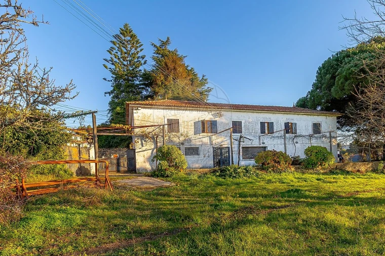 Quinta T5 para Venda em Grijó e Sermonde Foto 31