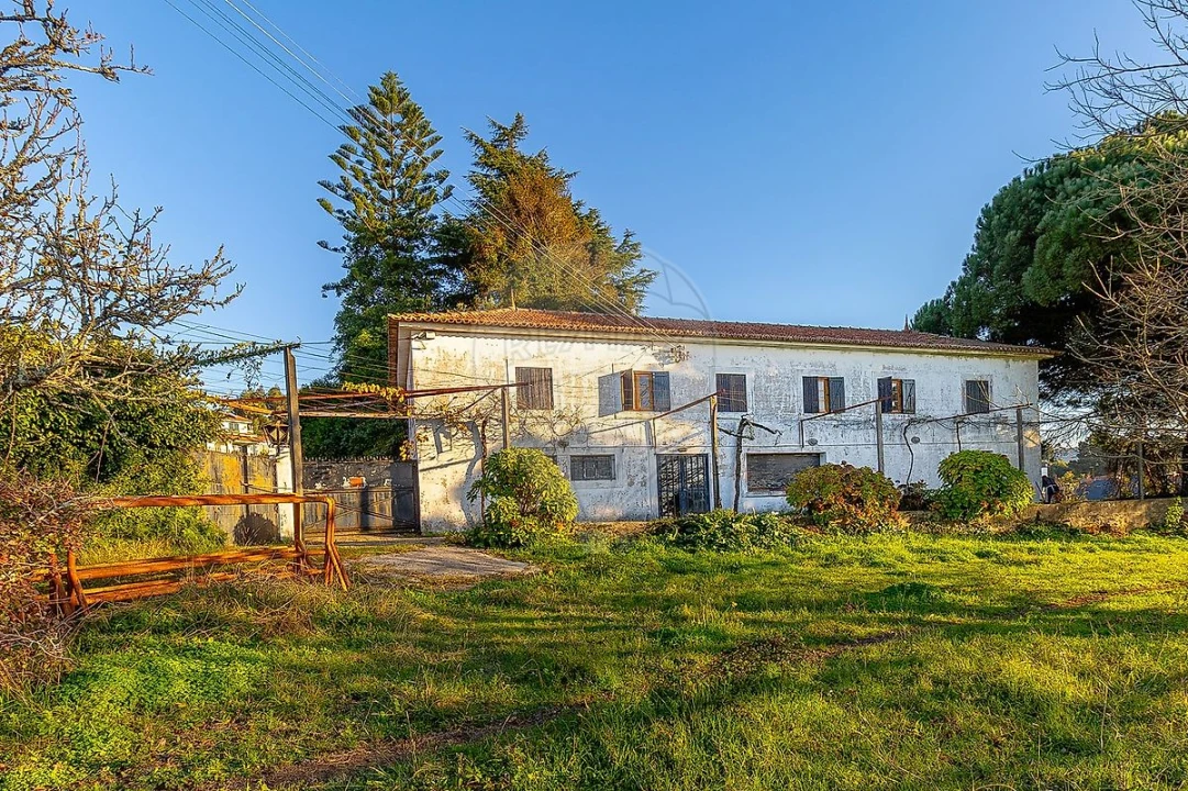 Quinta T5 para Venda em Grijó e Sermonde Foto 31