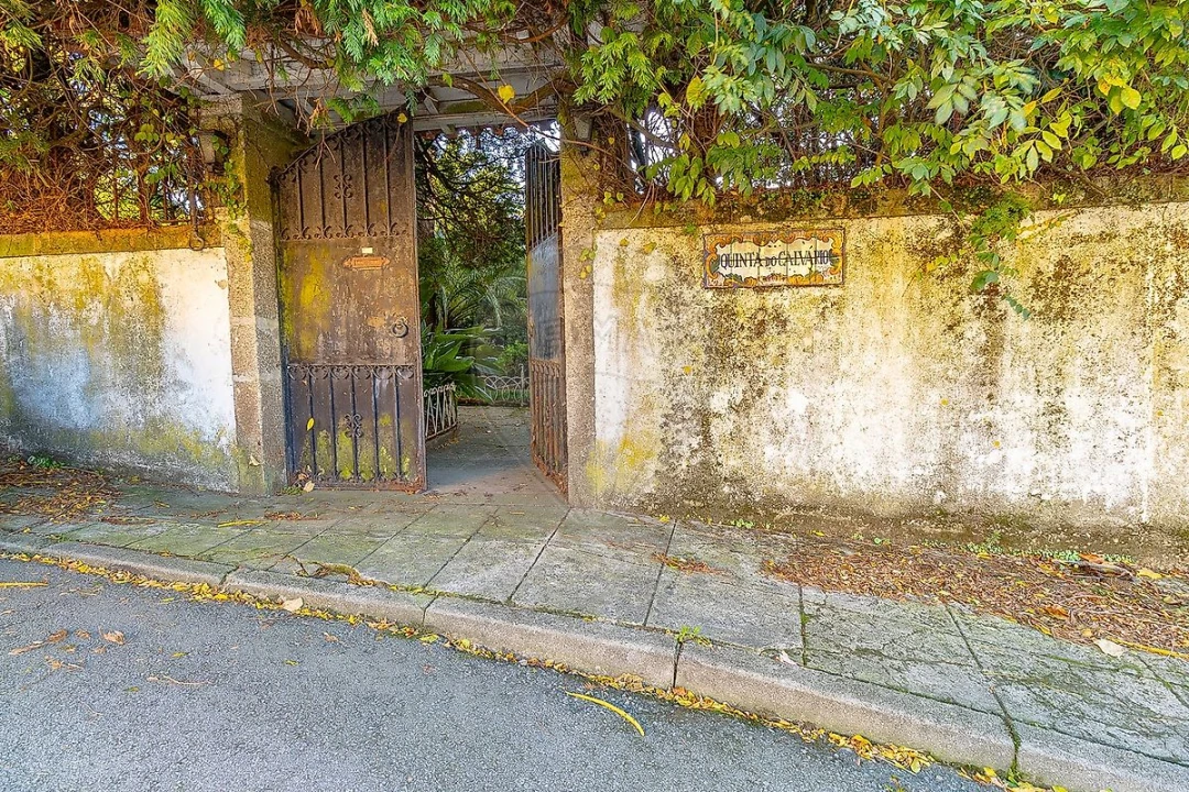 Quinta T5 para Arrendamento em Grijó e Sermonde Foto 3