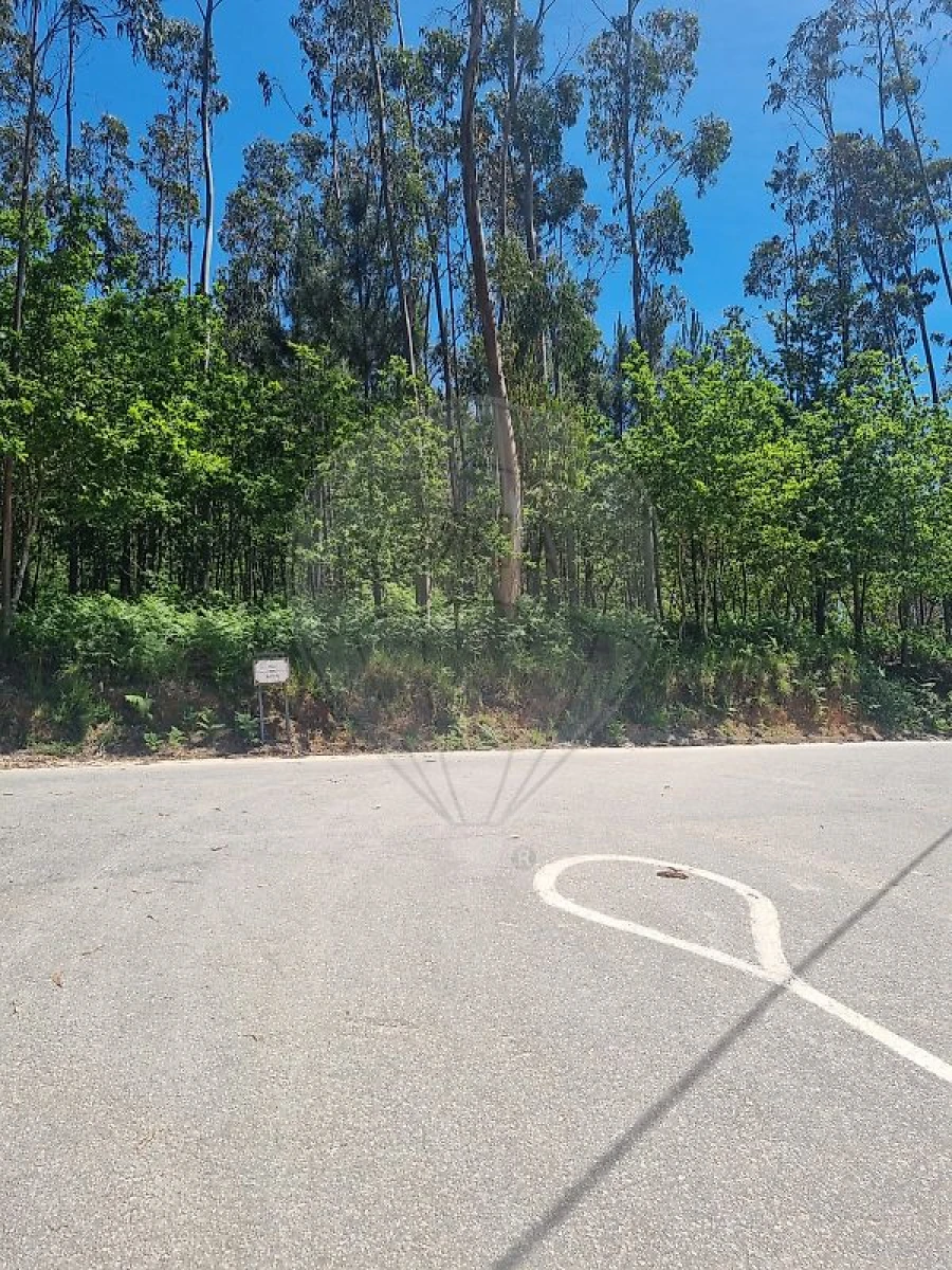Terreno para Venda em Ovar, São João, Arada e São Vicente de Pereira Jusã Foto 5