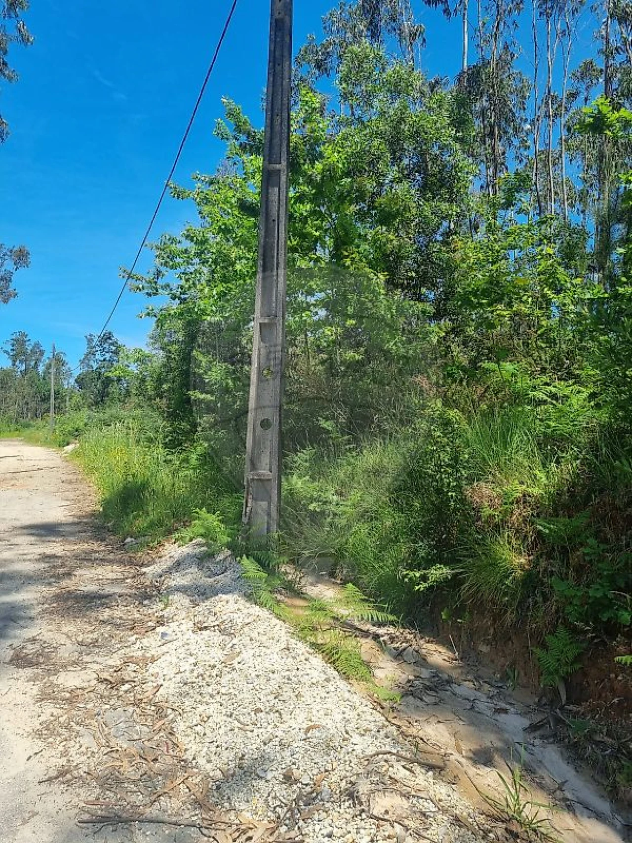 Terreno para Venda em Ovar, São João, Arada e São Vicente de Pereira Jusã Foto 4