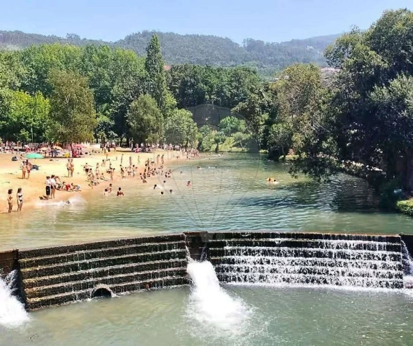 Terreno para Venda em São Pedro de Castelões Foto 13