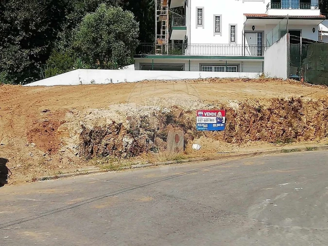 Terreno para Venda em São Pedro de Castelões