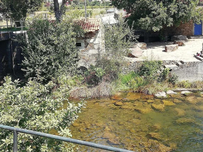 Terreno para Venda em São Pedro de Castelões Foto 9