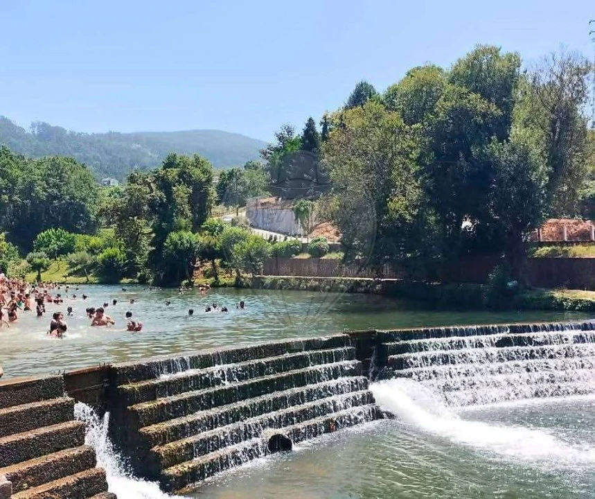 Terreno para Venda em São Pedro de Castelões Foto 12