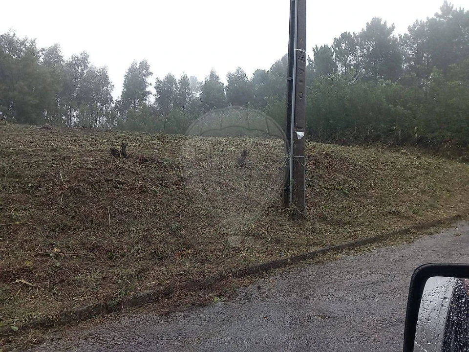 Terreno para Venda em O. Azeméis, Riba-Ul, Ul, Macinhata Seixa, Madail Foto 6