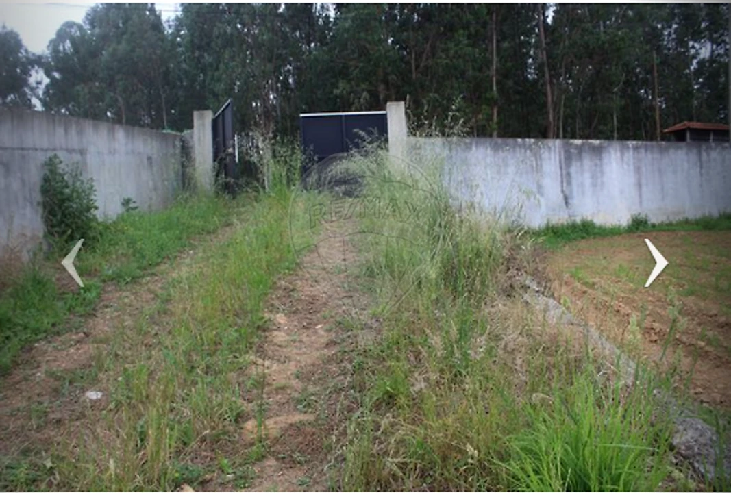Terreno para Venda em São Miguel do Souto e Mosteirô Foto 7