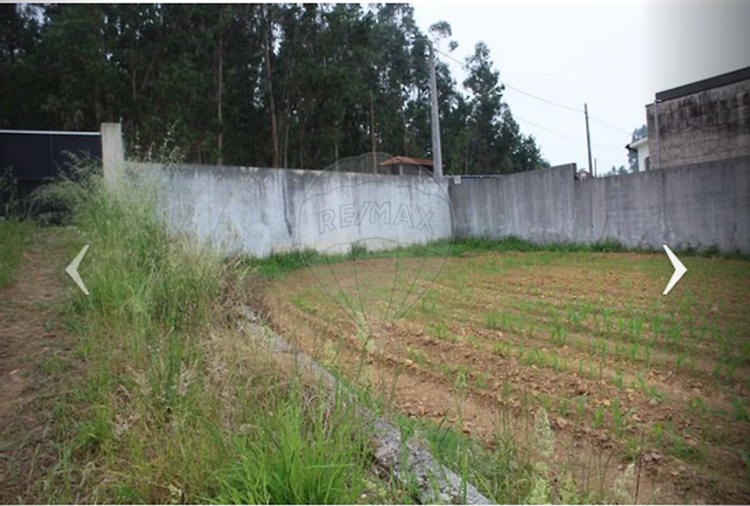 Terreno para Venda em São Miguel do Souto e Mosteirô Foto 8