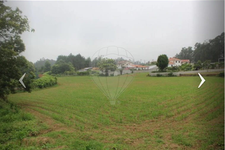 Terreno para Venda em São Miguel do Souto e Mosteirô Foto 2