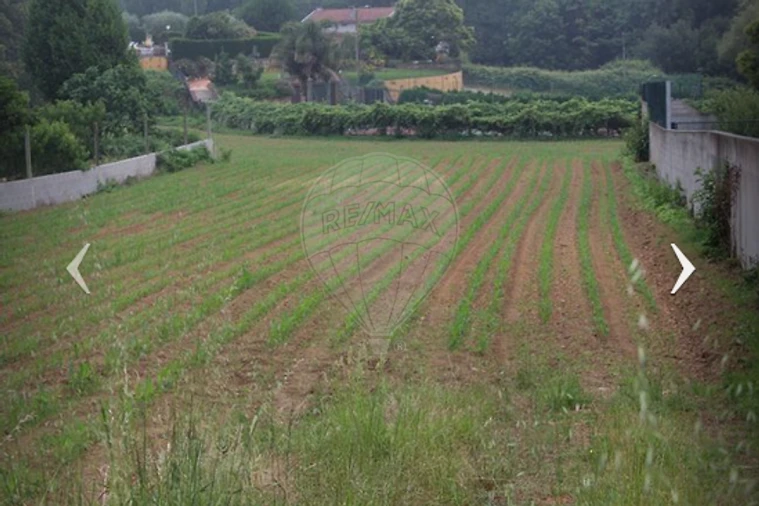 Terreno para Venda em São Miguel do Souto e Mosteirô Foto 6
