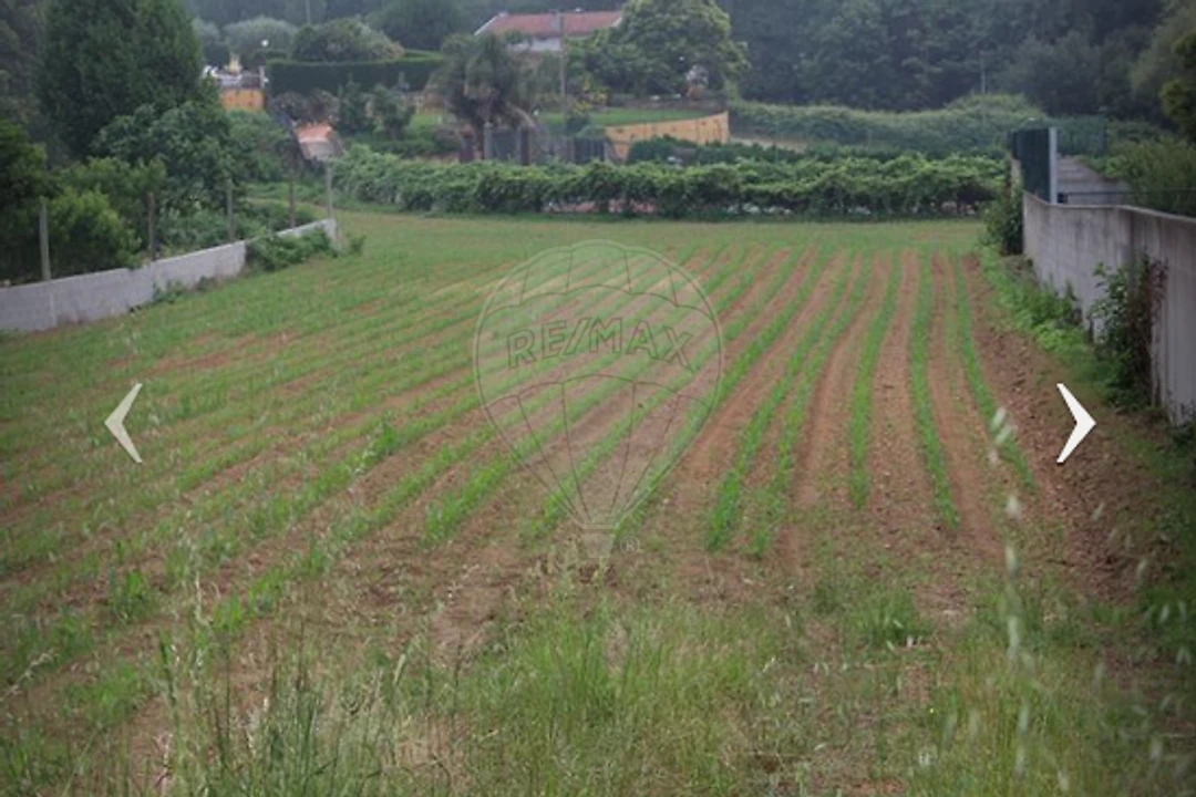 Terreno para Venda em São Miguel do Souto e Mosteirô Foto 6