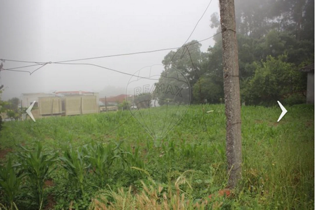 Terreno para Venda em Vila de Cucujães Foto 7