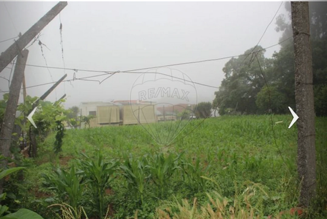 Terreno para Venda em Vila de Cucujães Foto 8