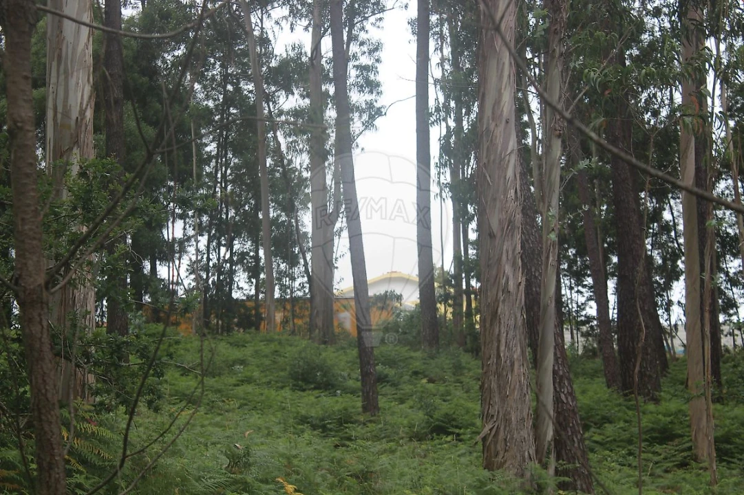 Terreno para Venda em Espinho Foto 1
