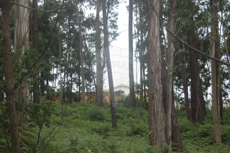 Terreno para Venda em Espinho Foto 1