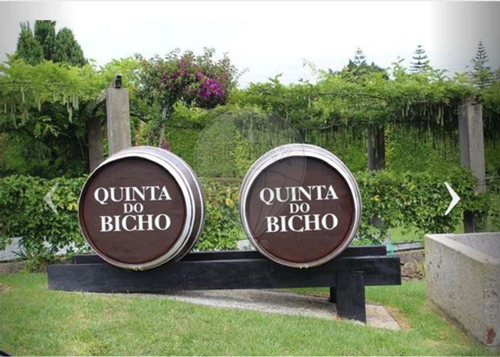 Quinta T1 para Arrendamento em São Miguel do Souto e Mosteirô Foto 14