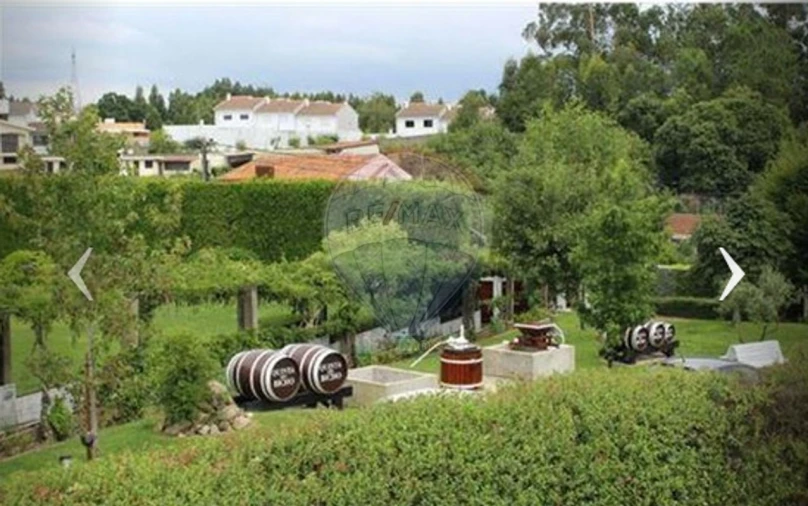 Quinta T1 para Arrendamento em São Miguel do Souto e Mosteirô Foto 3